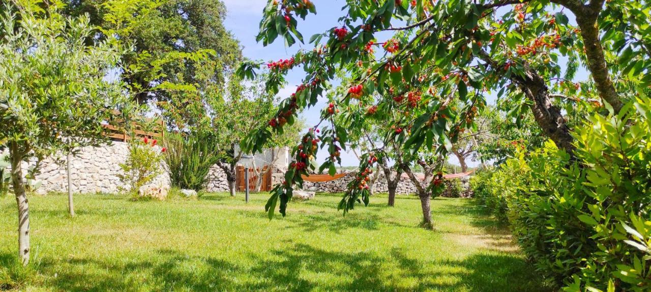 Red Rose B&B Martina Franca Exterior foto